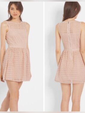 MAJE Elixir Broderick Organza Mini Dress